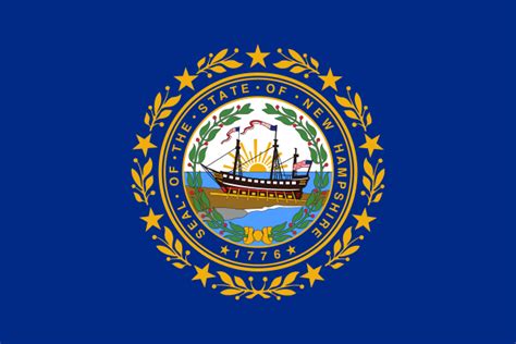Picture of New Hampshire's Flag